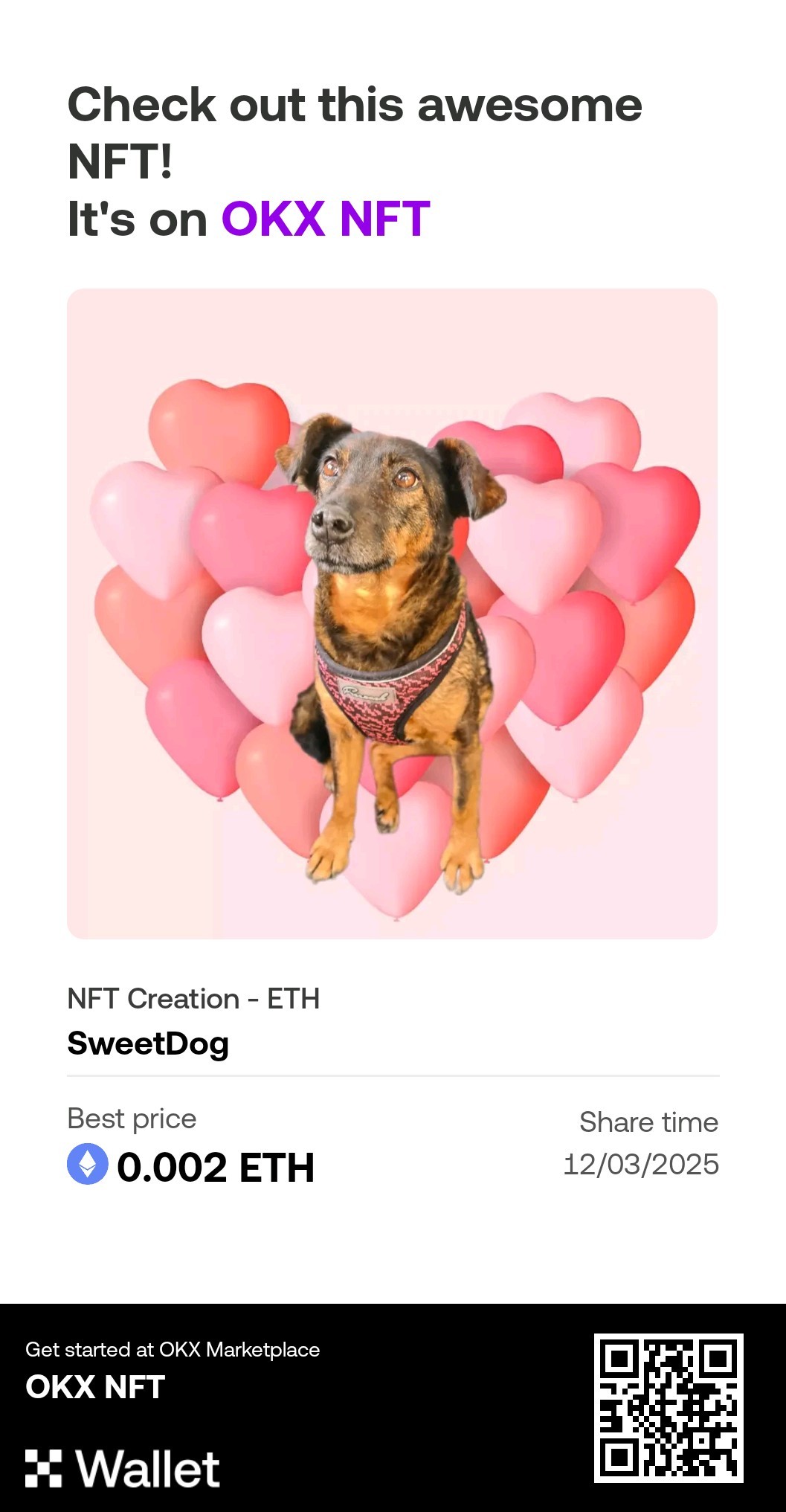 Sweet Dog Susi – Hearts