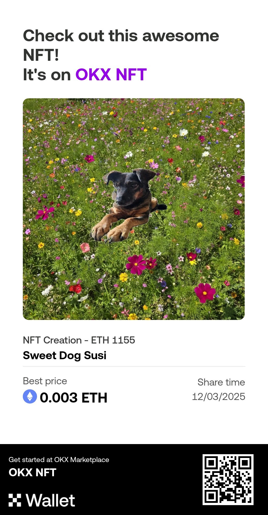 Sweet Dog Susi – Blumenwiese