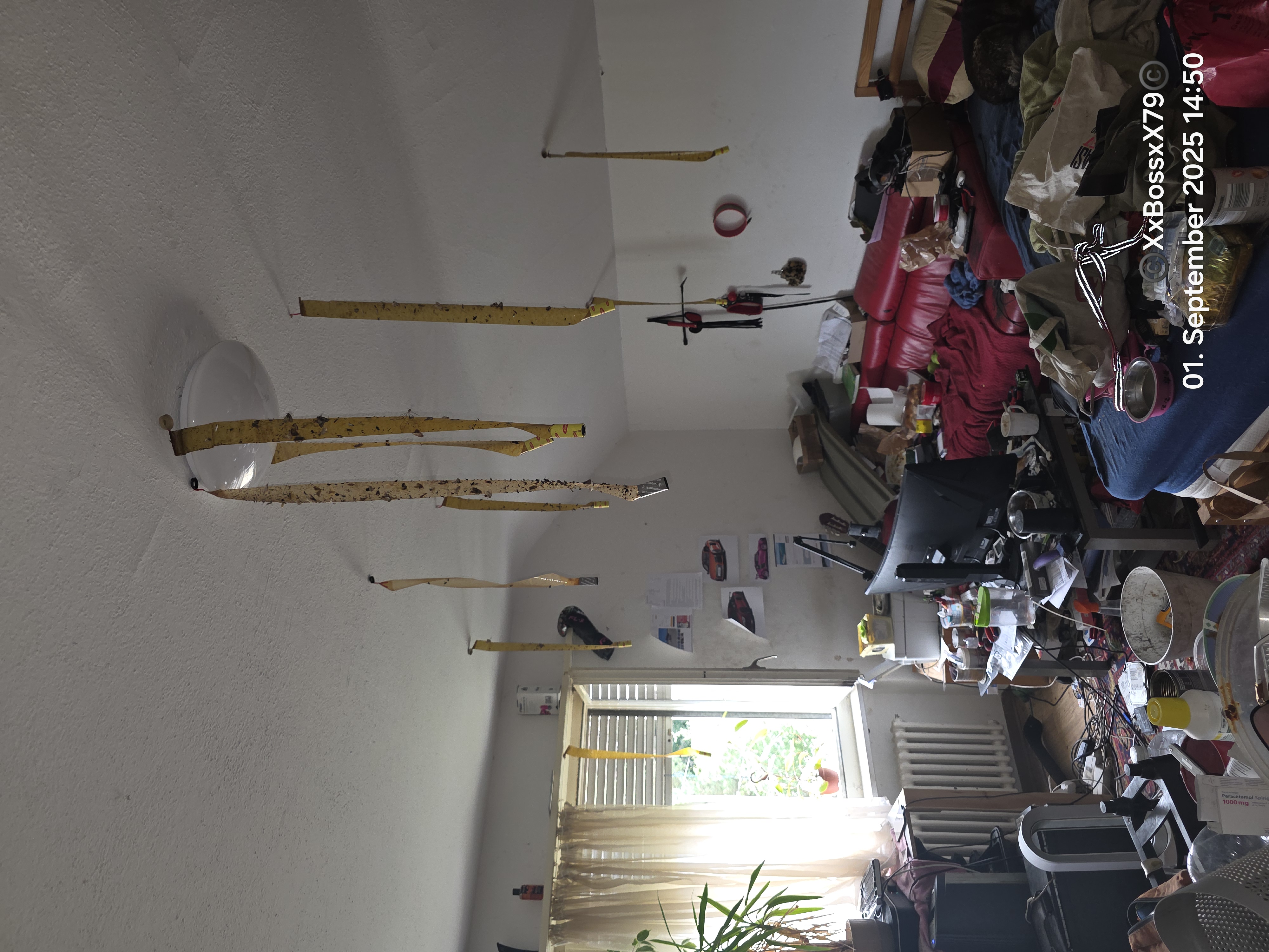 Wohnung 1