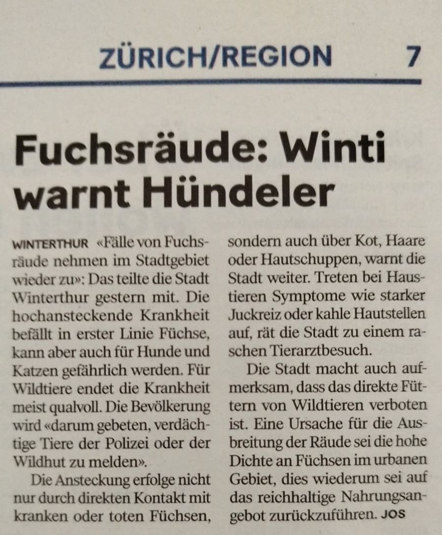 Zeitungsbericht: Winterthur warnt Hundebesitzer vor Fuchsräude